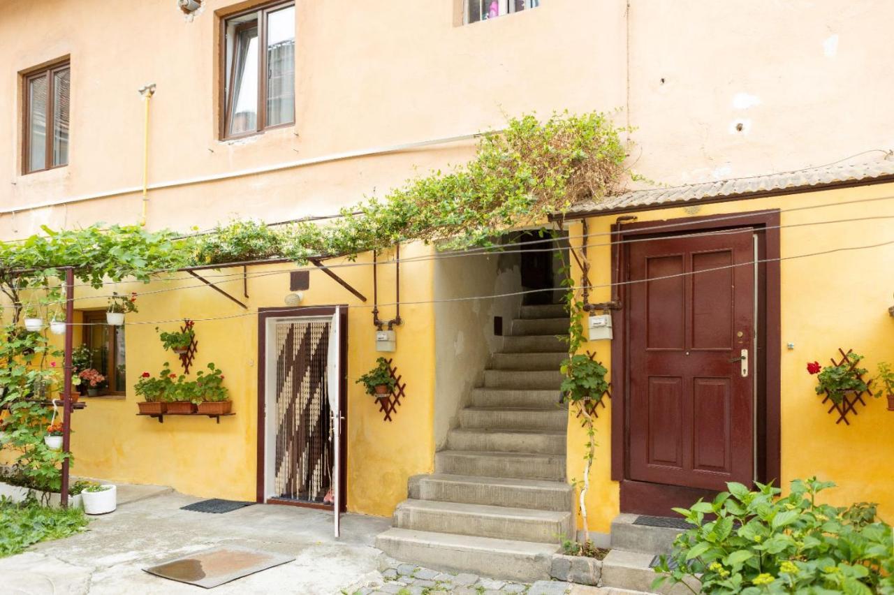Piata'S Hidden Apartment Брашов Экстерьер фото